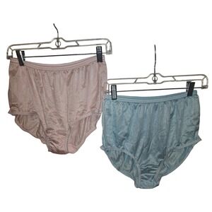 Teri Vintage Womens High Waist Briefs Panties Set of 2 Pink Blue Nylon Size 8